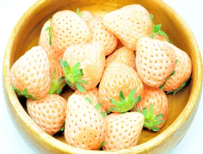white-japanese-strawberry-awa-yuki-dan-xue-270g_1.jpg