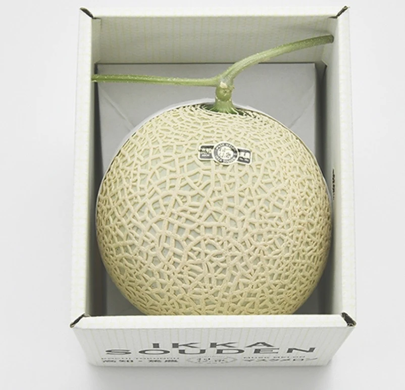 premium-grade-japanese-melon-tosa-tu-zuo-1-4kg-gift-box_2.jpg
