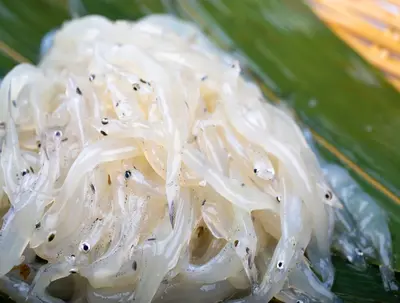 icefish-shirauo-200g_0.jpg