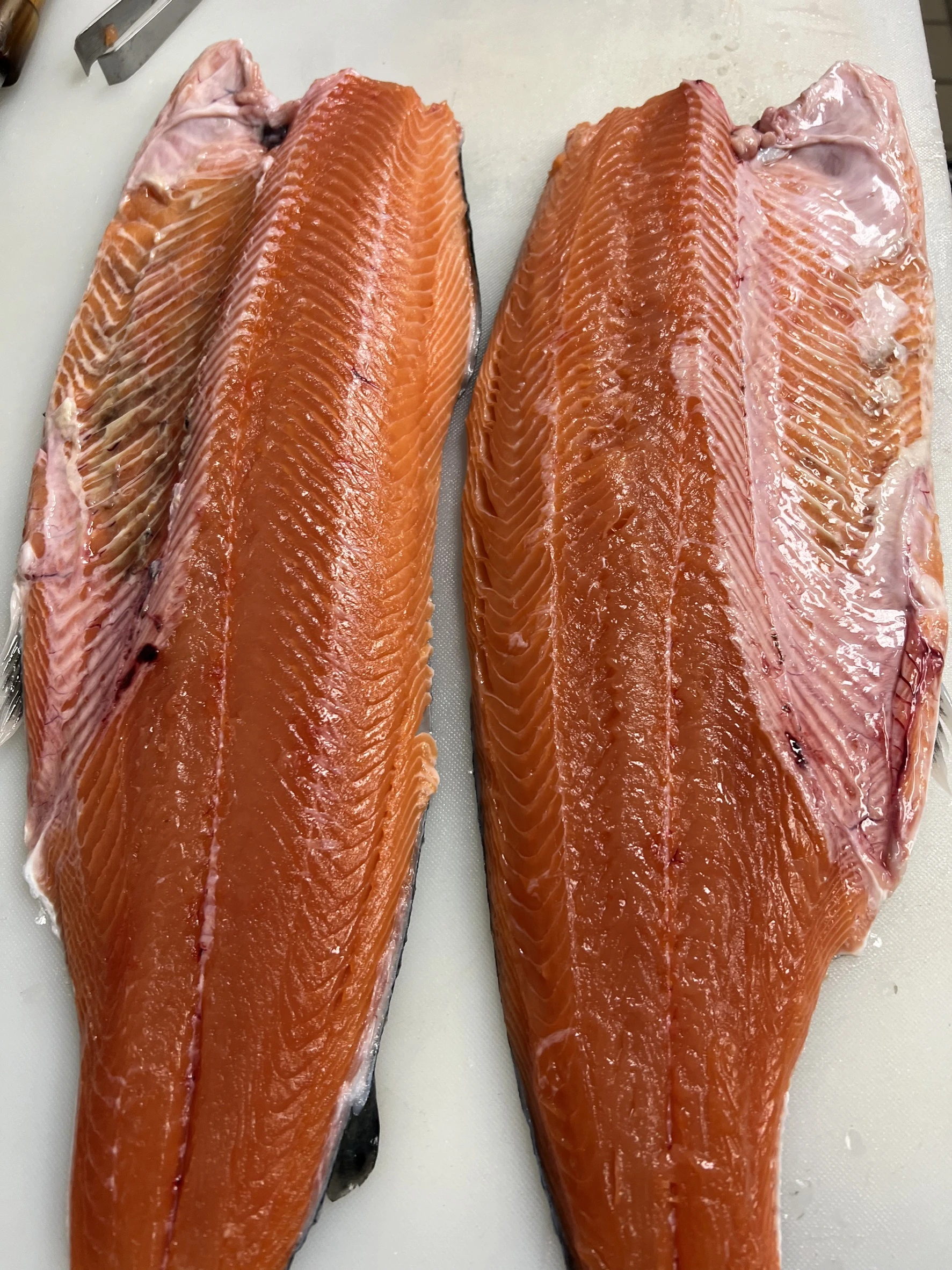 rainbow-trout-fujisan-salmon-farmed-h-g_1.jpg