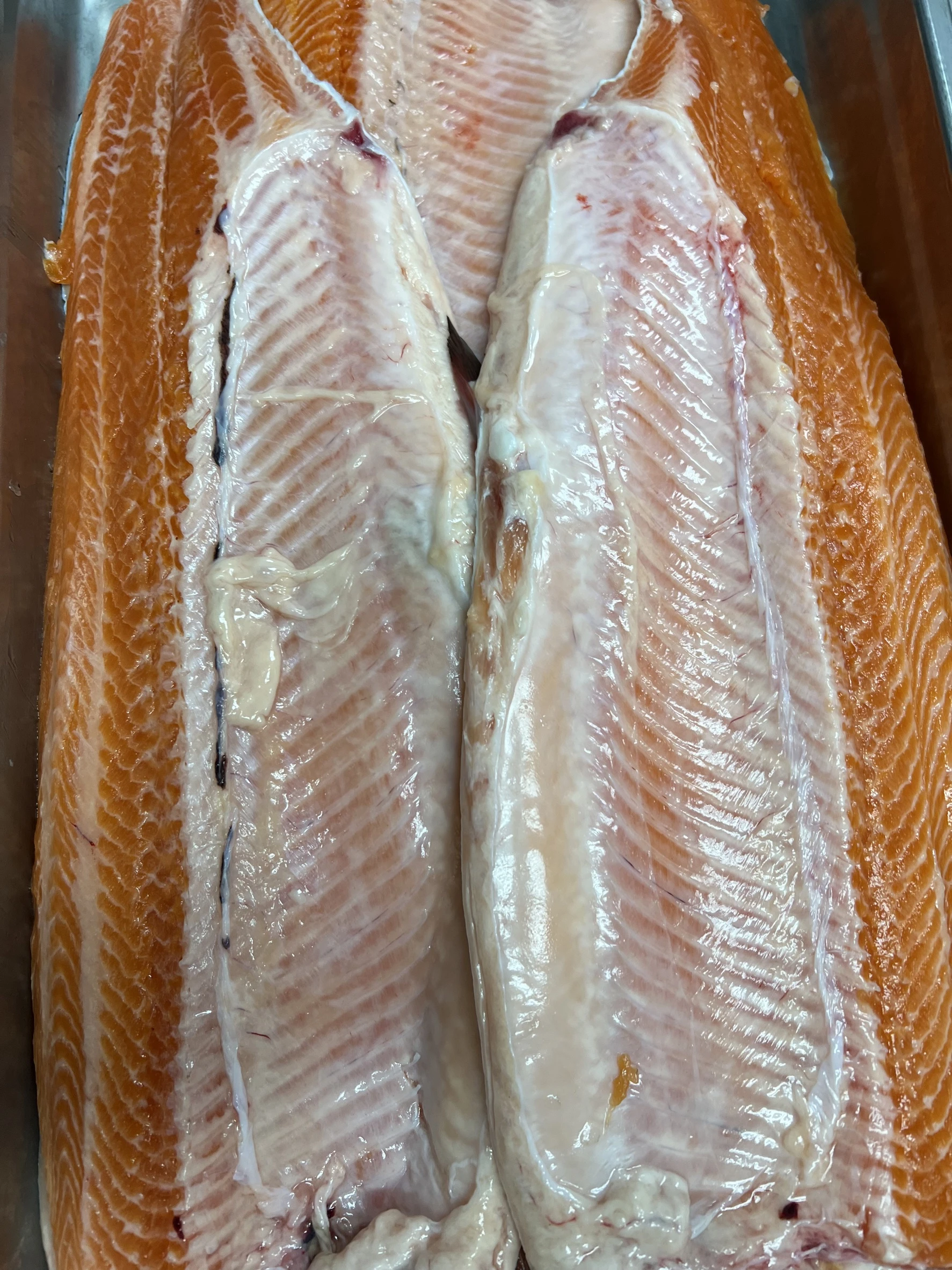 rainbow-trout-fujisan-salmon-farmed-h-g_2.jpg