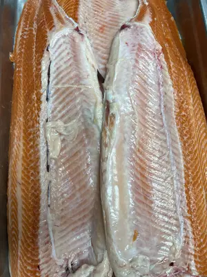 rainbow-trout-fujisan-salmon-farmed-h-g_2.jpg
