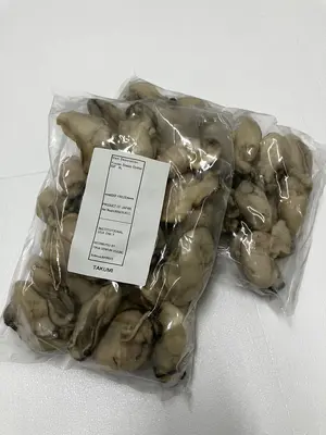 premium-jumbo-size-oyster-30pcs_1.jpeg