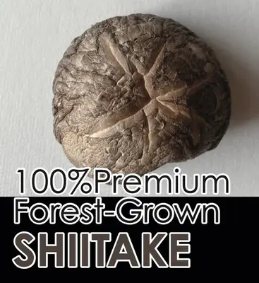 dried-shiitake-kouko-1-75-oz_2.jpg