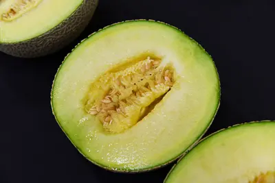 B Level Japanese Musk Melon  (Kochi )