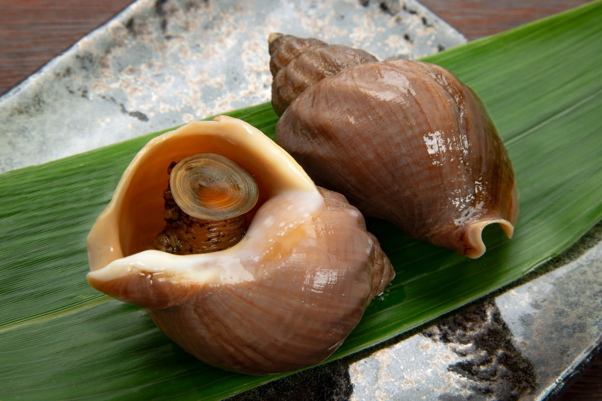 pixta_77676796_M.jpg