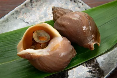 Bai Gai - (Black Bai Gai)