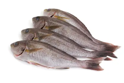Isaki 