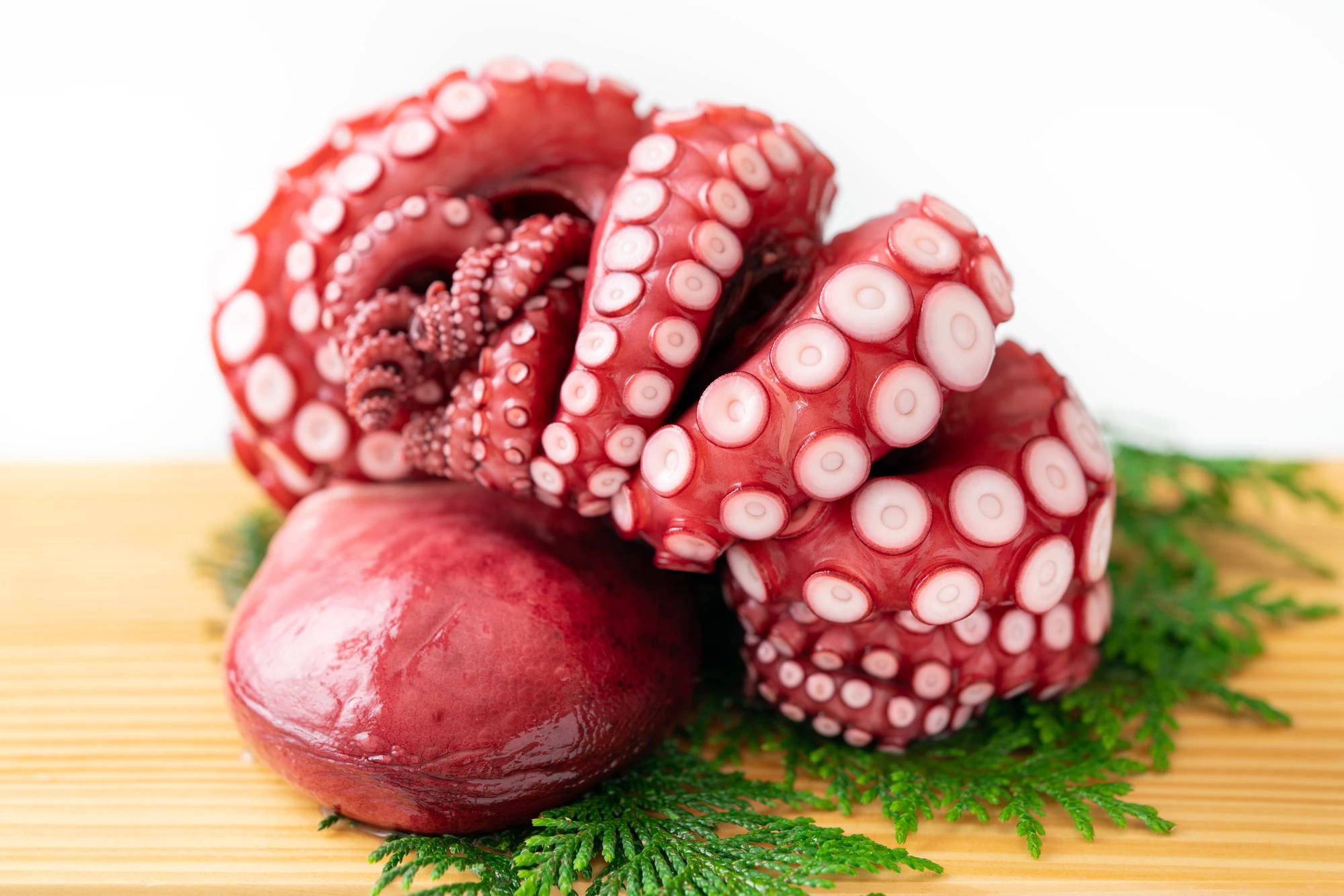 pixta_65582291_M.jpg