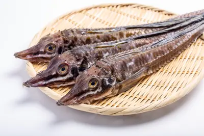 Kanpachi  (Farm Kanapachi)