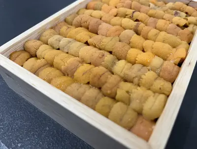 Ichikawa AAA Hokkaido Uni 250g - Made to Order  (Made to Order Narabi 250g)