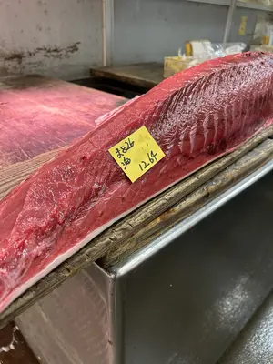 Bluefin Tuna Loin (Blue Fin Loin)
