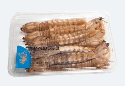 Shako Ebi