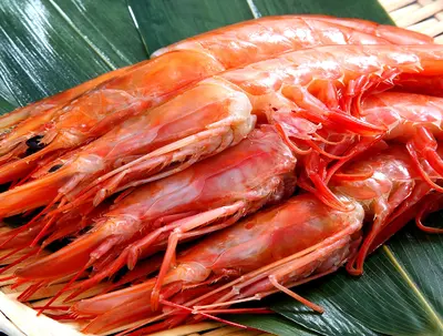 enhanced_shrimp_image.jpeg