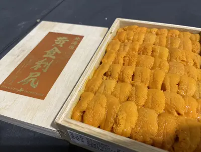Gold Rishiri Uni 