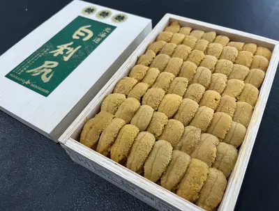 Shiro Rishiri 250g