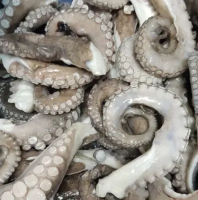 Octopus (Vulgaris), T5 (1-1.5 kg), Whole, Frozen, IQF, Morocco, Adam, NW, 12 kg (26.46 lb)