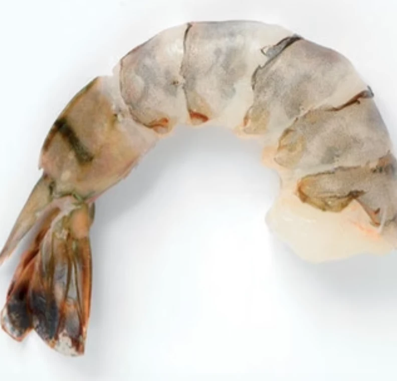 shrimp black tiger.png