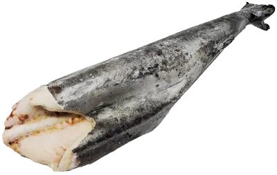 BLACK COD 10LB+ - PIECE