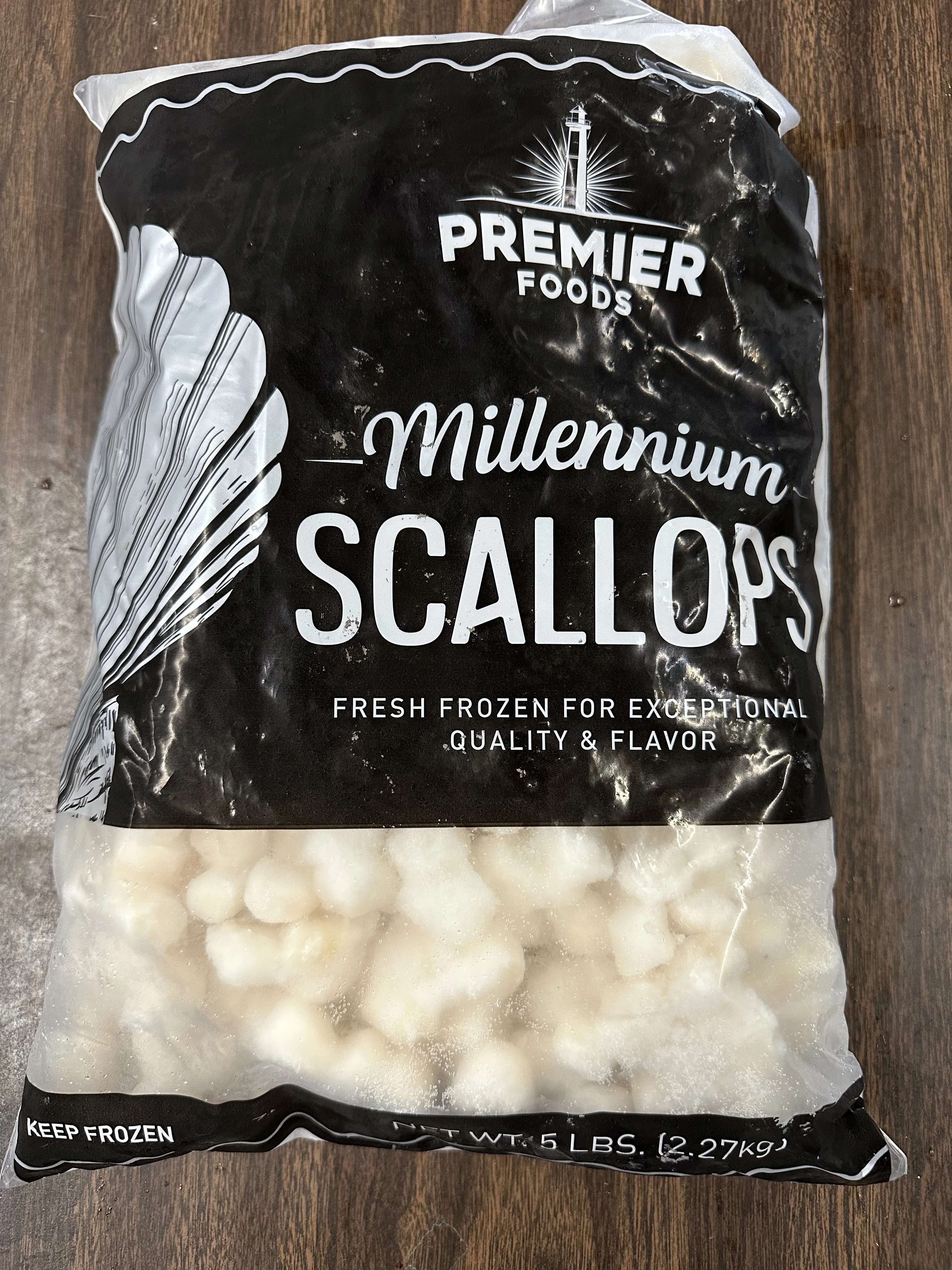 51902 BAY SCALLOP.JPG