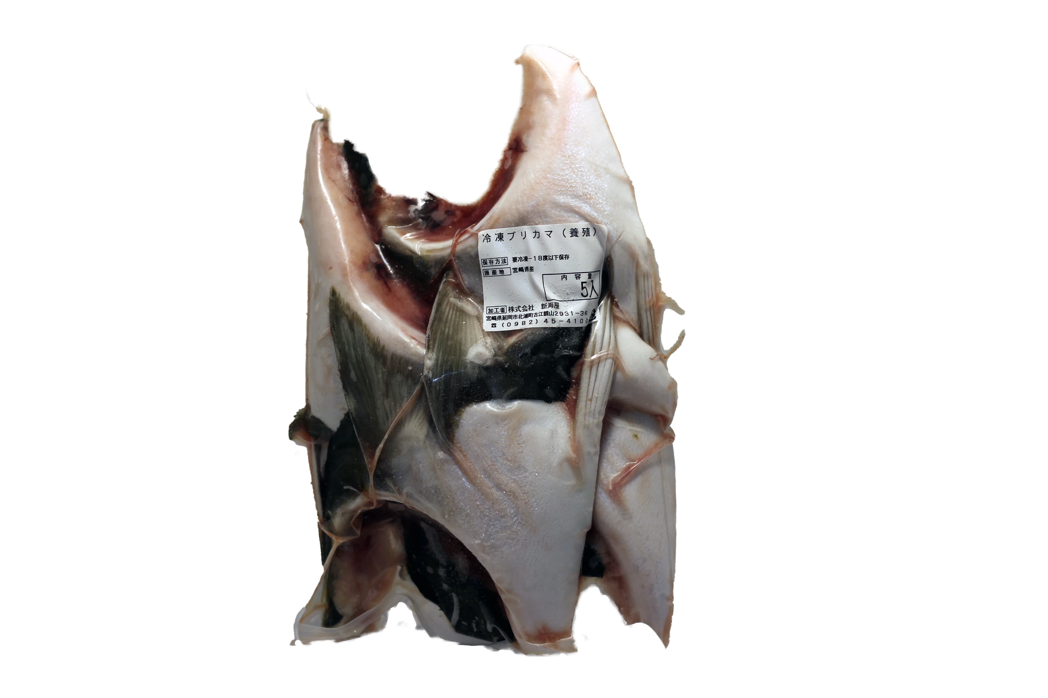 30114 HAMACHI KAMA_EDITED.png