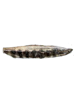KATSUO TATAKI - PIECE