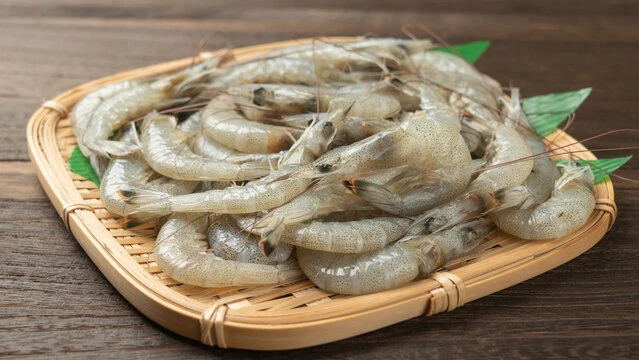 SUS378 Cold-water shrimps(しばえび).jpg