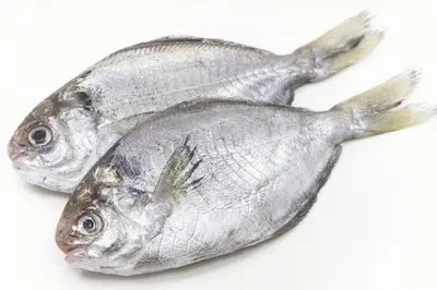 Japanese Butterfish