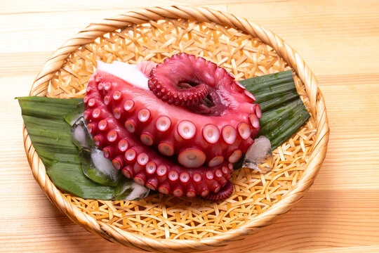 SUS284 Fresh Octopus Boiled まだこ（茹）.jpg