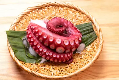 Fresh Octopus (Madako)