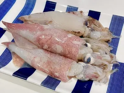 Spear Squid (Yari Ika)