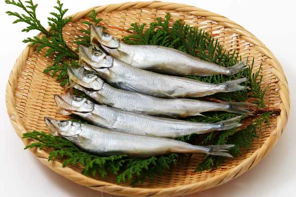 863033 Frozen Capelin Fillet(ししゃも).jpg