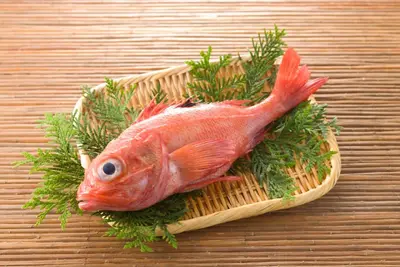 Thornyhead Broadbanded (Kinki) 1-1.5lb Jpn Sp Orde