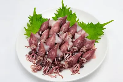 Squid Firefly (Hotaru Ika/toyama) Japan Sp Order