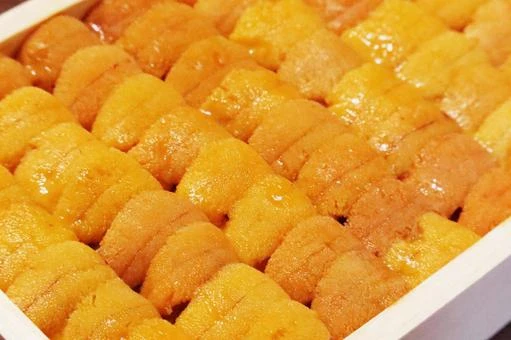 860362 Sea urchin Meat うに250g 弁当  (化粧箱).jpeg