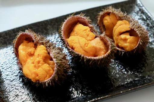 860350 Sea urchin Meat(赤ウニ).jpeg