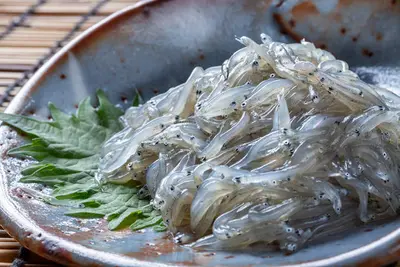 Sardine (Shirasu) 100g Japan Special Order