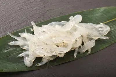 Noodlefish L (Shirauo) 200g Japan Special Order