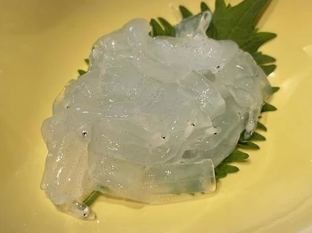 860227 Conger eel baby(のれそれ).jpeg