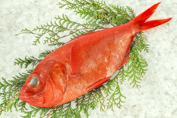 860020 Alfonsino Gutted(Ji) 地キンメ鯛.png