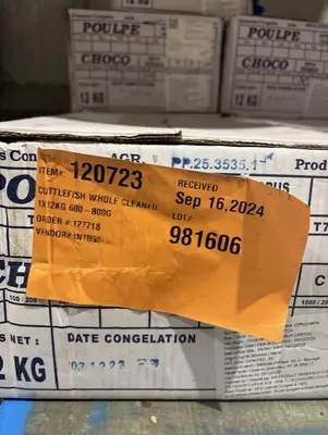 Cuttlefish Whole Cleaned 1x10kg 1-2 Per Kg