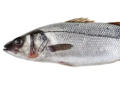 Bronzini Wh 400-600 Gr G.w Clean & Scaled (Greece)