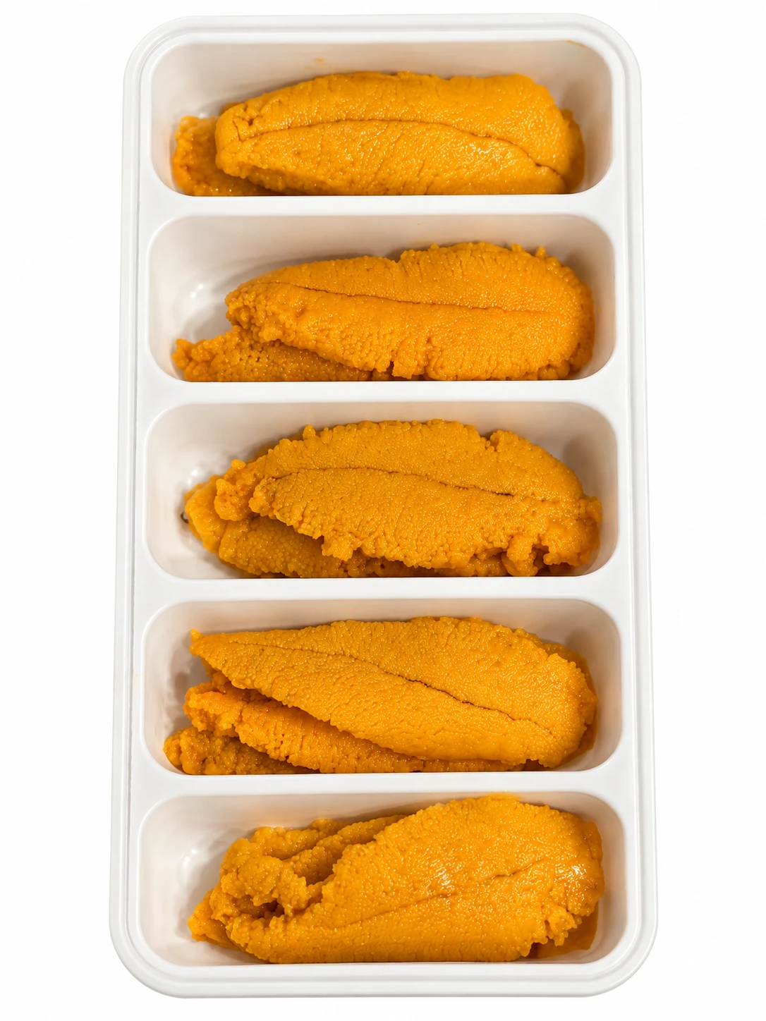 ChatGPT Image Sep 17, 2026, 02_17_54 PM.png