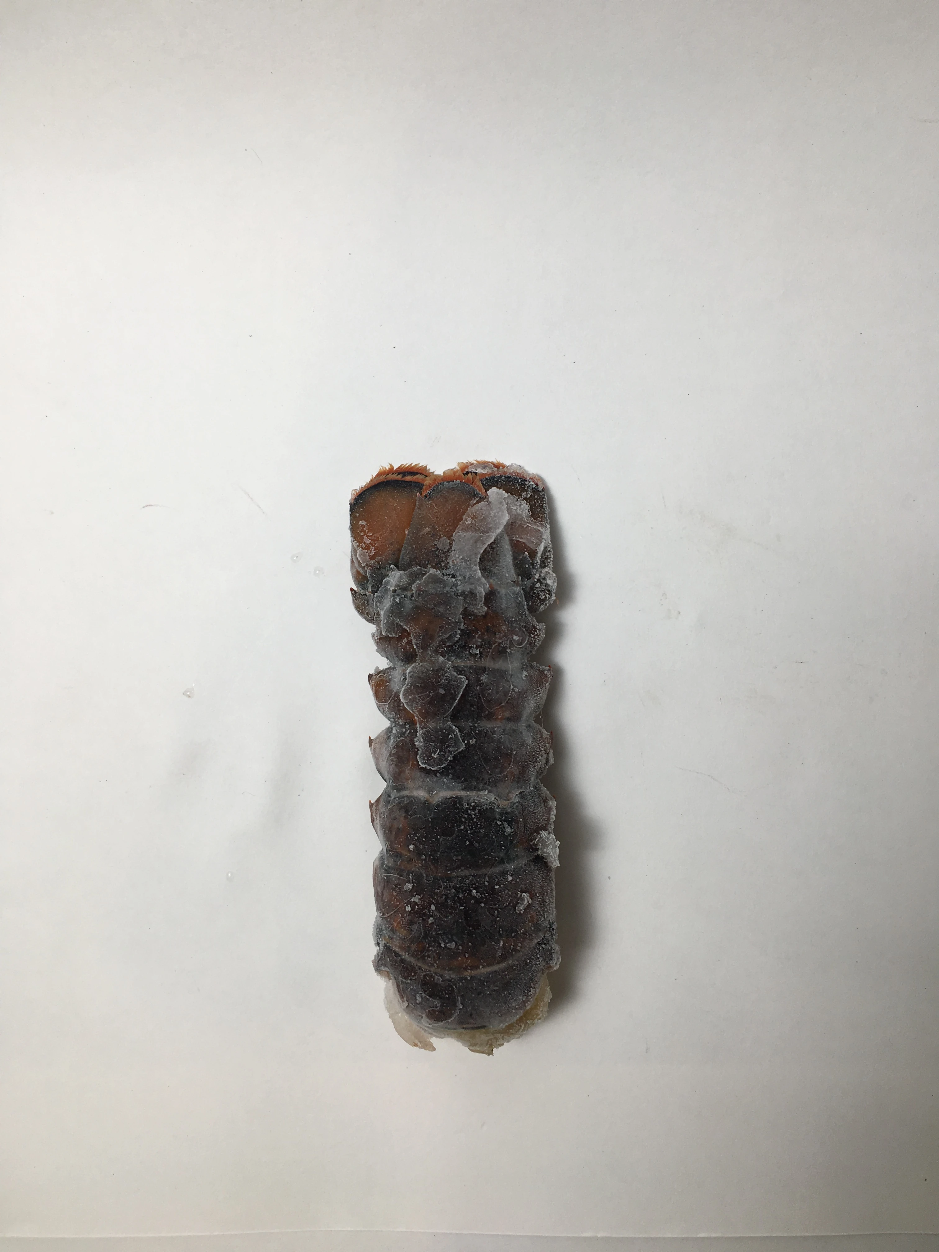 Lobster Tail 4-5 oz(1).JPG