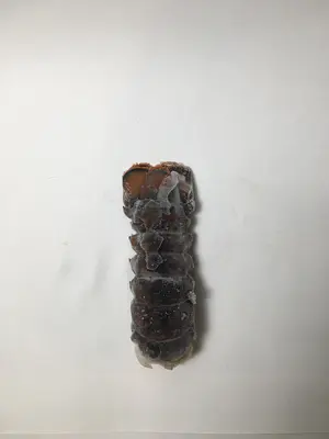 Lobster Tail 6-7 10# FRZ - Lobster Tail 6-7 10# FRZ - Lobster Tail 6-7 10# FRZ - Lobster Tail 6-7 1