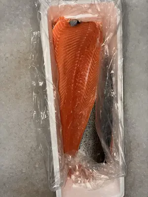 Fillet Salmon 2-3 Scaled 10# - Fillet Salmon 2-3 Scaled 10# - Fillet Salmon 2-3 Scaled 10# - Fillet