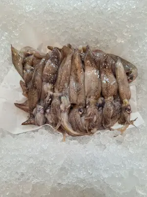 Squid (Whole) - Squid (Whole)