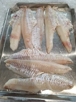 Haddock 6oz+ Fresh - Haddock 6oz+ Fresh