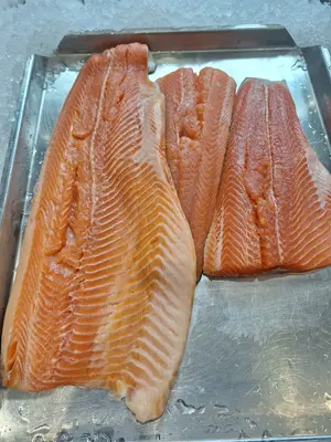 Fillet Steelhead Trout 1-2 10#