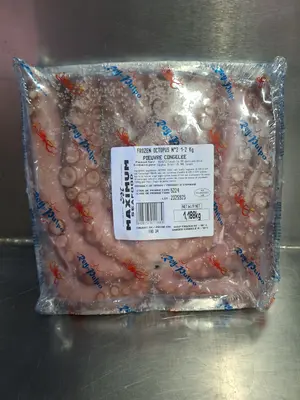 Octopus - Octopus